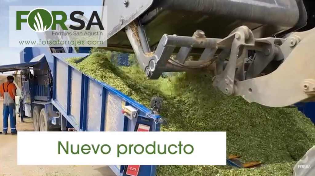 nuevo-producto-microsilo-de-maiz-humedo-alfalfa-spain