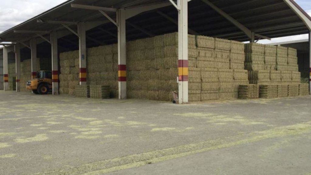 Alfalfa-production-in-Aragon-falls-by-almost-25%-forsa-forrajes-alfalfa-apilada