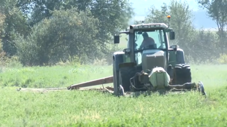 alfalfa-harvesting-in-aragon-alfalfa-spain-alfalfalfa-sector